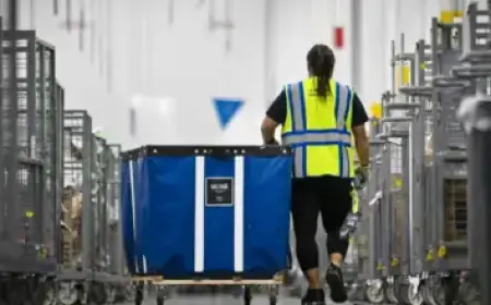 Kate Mara Reveals Surprise Martha Stewart Appearance at Intimate Birthday Bash