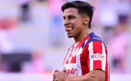 Former QB-Turned-TE Stone Smartt Joins Eagles Roster