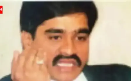 Mumbai Buyer Secures Four Dawood-Linked Plots