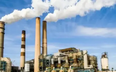 Iran Revolutionary Guards Spokesperson Killed in Strike, Reports State TV