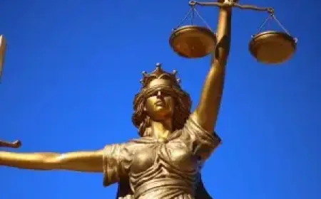 Solicitor Approved to Appeal Dismissal of Faculty, Law Society Complaints