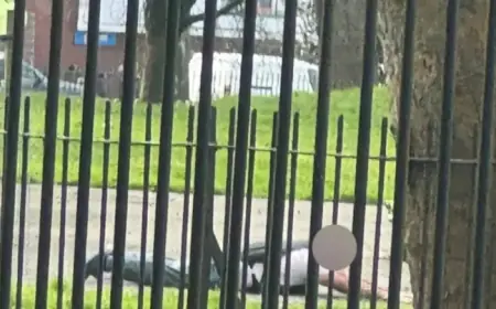 Armed Police Arrest Man in Vest in Salford’s Jewish Neighborhood