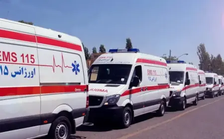 57 Health Inspectors Deploy for 1405 New Year at Imam Reza Shrine