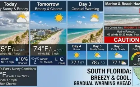 South Florida Forecast: Expect Partly Sunny Skies