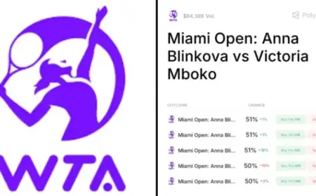 Public Struggles to Verify Basics of Anna Blinkova Match Hype