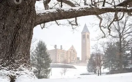 Evaluating the Value of a Cornell Master’s Degree