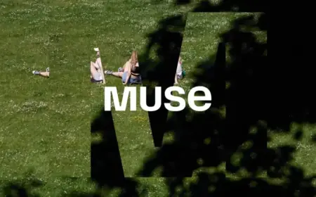 Local Talent Drives Transformative Change in St Helens