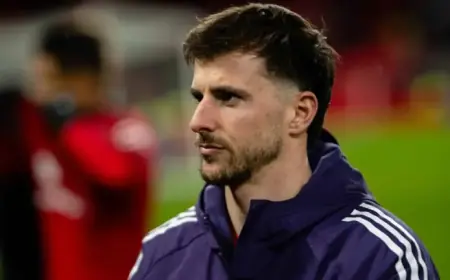 Latest Updates on Mount: What You Need to Know