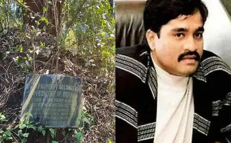 Dawood Ibrahim Properties Successfully Auctioned in Ratnagiri After Long Delays