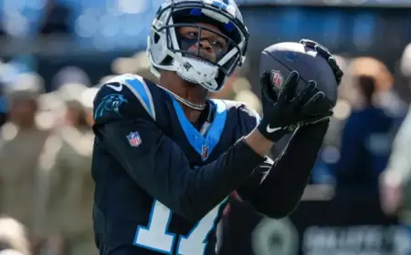Ex-Panthers Receiver Retires from NFL at 29