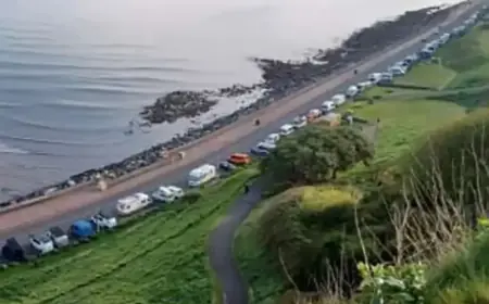 New Parking Rules Proposed to Tackle Coastal Campervan Displacement