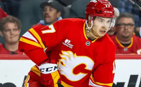 Panthers vs Flames: NHL Game Prediction, Picks, and Odds for Tonight