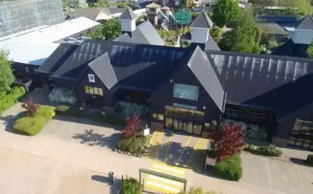 Beloved Zoo Reveals Name of Newest Arrival