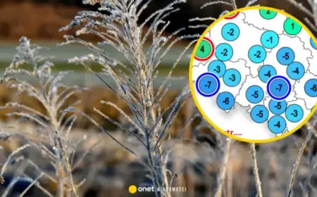 Freezing Nights Grip Poland with Temperatures Plunging to -7°C