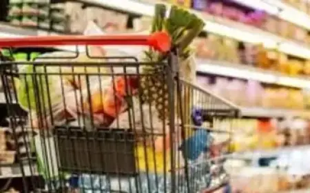 Brentwood Town Faces Folkestone Invicta: Match Preview (March 21, 2026)