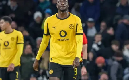 Borussia Dortmund vs Hamburger SV: Predictions, Team News, and Lineups Preview