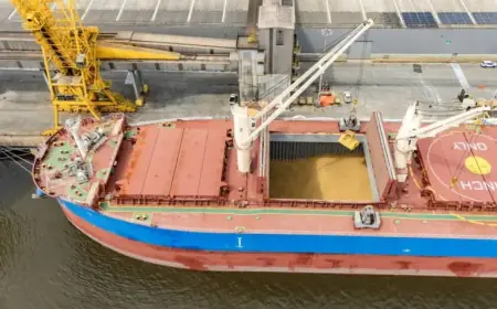 Record: Largest Barley Shipment Registered at Paranaguá Port