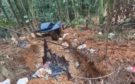 China’s Demand Drives Illegal Gold Mining Along Nicaragua-Costa Rica Border