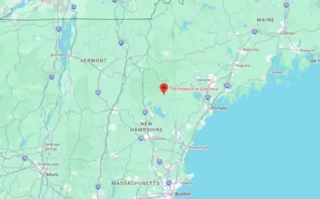 Wedding Venue Floor Collapse Triggers Mass Casualty Incident