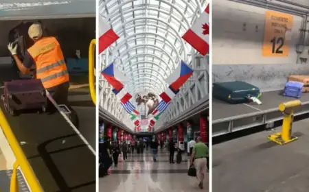 Chicago O’Hare Worker Reveals Luggage Unloading Secret, Sparking Outrage