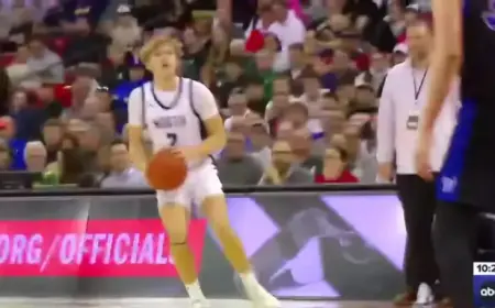 Appleton North and De Pere Boys Fall in Division 1 Semifinals