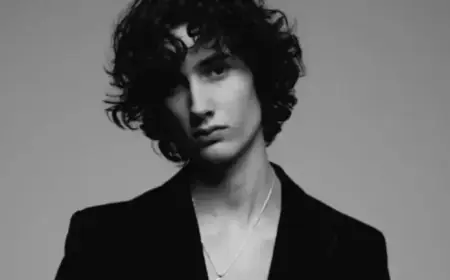 Sombr Halts Show for Safety: Examining UK Concert Emergency Flaws