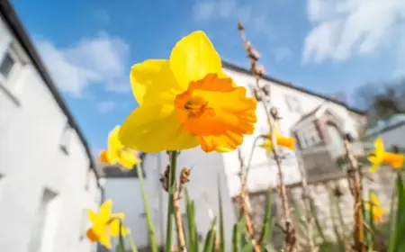 Easter 2026: UK Bank Holiday Dates Revealed for April