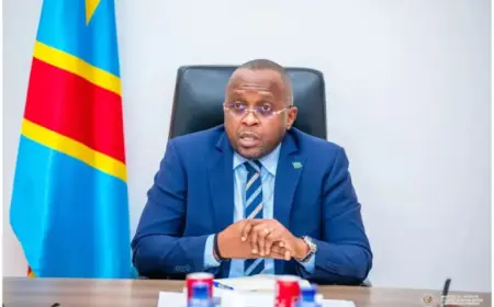 Kinshasa Kidnappings: Government Strengthens Security Response