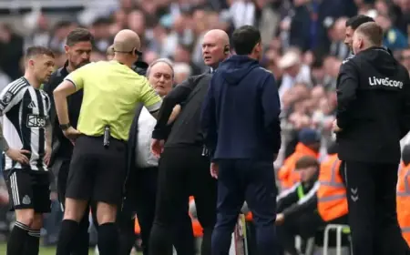 Referee Stops Newcastle vs Sunderland After Player Faces Crowd Abuse
