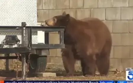 Lech Scores Three Goals in Four Minutes, Including Stunning Free Kick