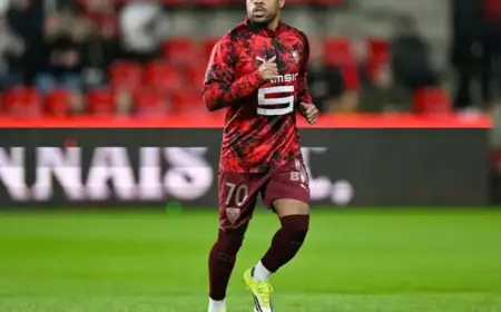 Stade Rennais Pursues Ligue des Champions Dream