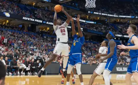 Sherrell Secures Career-High Rebounds in Victory Over Hofstra