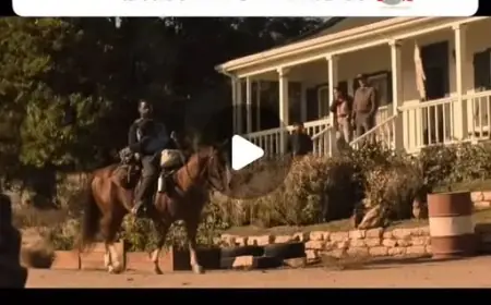 Xavier Relentlessly Searches for His Missing Wife in New Episodes Streaming