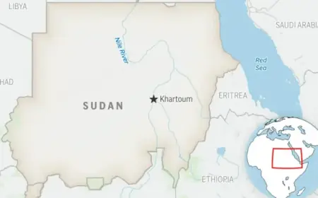 Sudan Hospital Strike Kills 64, WHO Reports