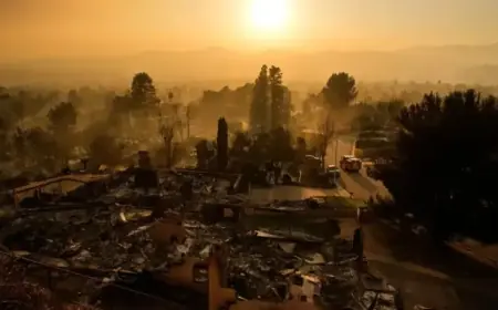 Analysis: UN Climate Report Engages with Surprising Insights