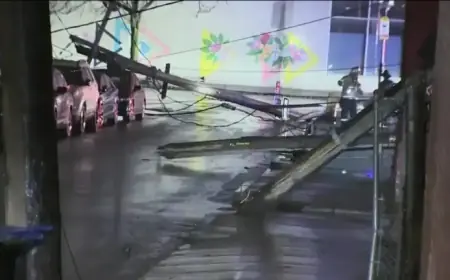 Power Lines Down in Chelsea Leave Dozens Without Electricity