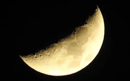 NASA Taps Starship for Lunar Shuttle Role After Artemis V