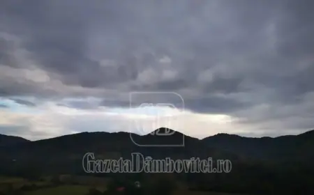 Overcast Skies and Light Rain Followed by Mild Warming