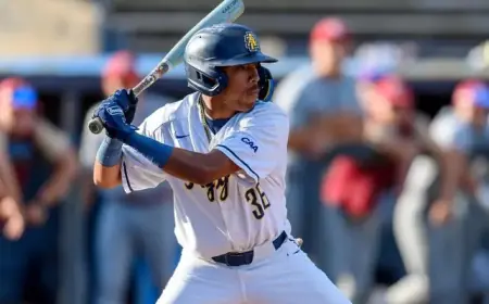 Baseball Team Defeated by Walk-Off Single