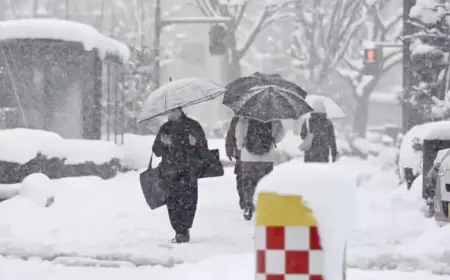 Severe Snow Alert: Expect Up to 10 Inches, Travel Disruptions Likely