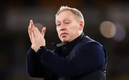 Bosnia Coach Accuses Steve Cooper of Benching Star for Wales Playoff