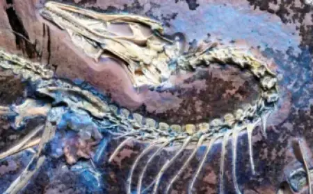 Danhausen Curses IShowSpeed on 3/23 WWE RAW Episode