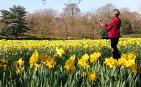 Easter Bank Holiday to Enjoy Warmer Weather Return