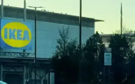 “Heart’s Bullet: Genova’s Final Summer Unveiled”