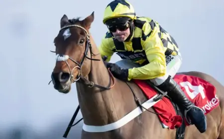 Star Hurdler Sir Gino Euthanized, Confirms Trainer Nicky Henderson