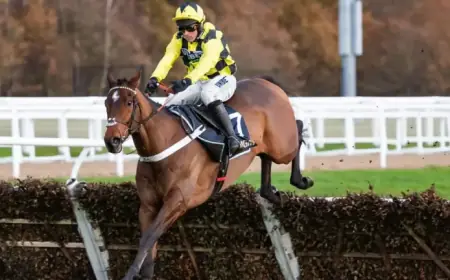 Sir Gino Succumbs to Battle with Deep-Seated Infections