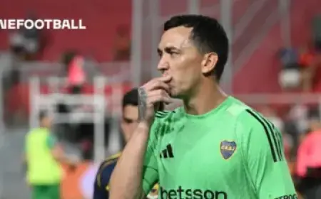 Falcons Ink Deal with Veteran Quarterback: Report