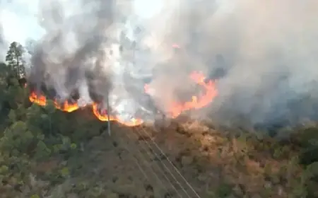 Gulf State Park Fire Shuts Down Fort Morgan East on Highway 59