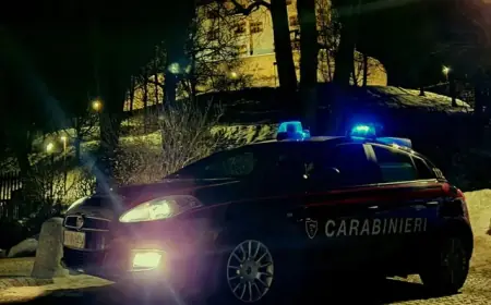 DUI Crackdown in Val Pusteria: Authorities Revoke 7 Licenses