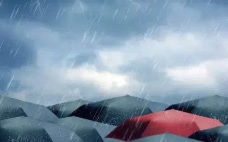 Cold, Wet Weather to Prevail This Week